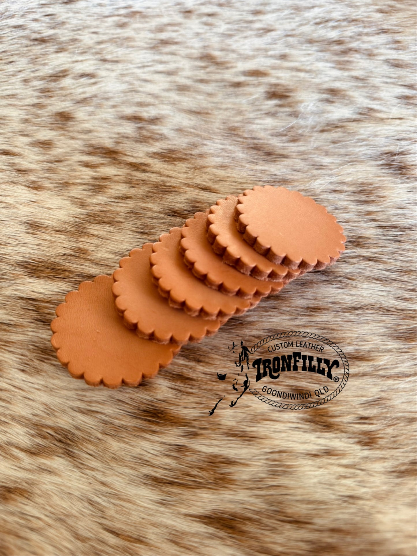 Leather Conchos (Rosettes) 6 pack