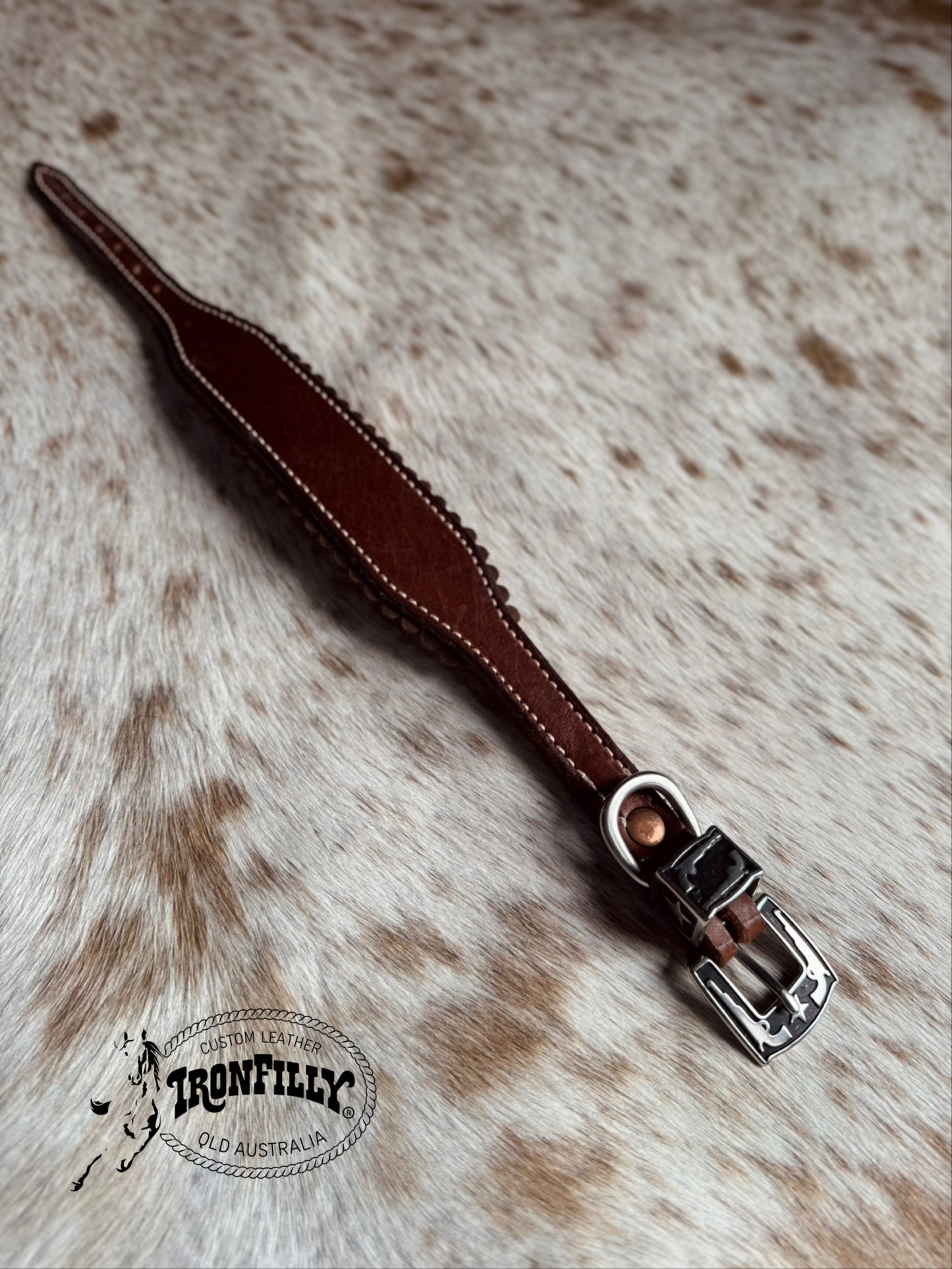 Dachshund Collar (Pistol buckle)