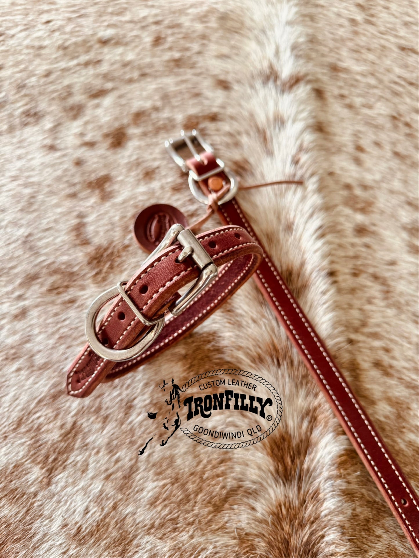 Small dog collar