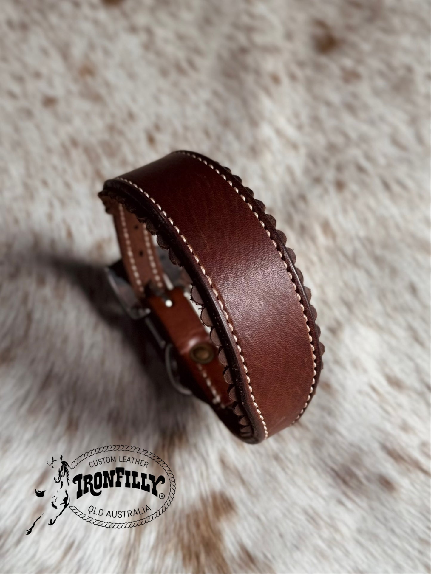 Dachshund Collar (Pistol buckle)