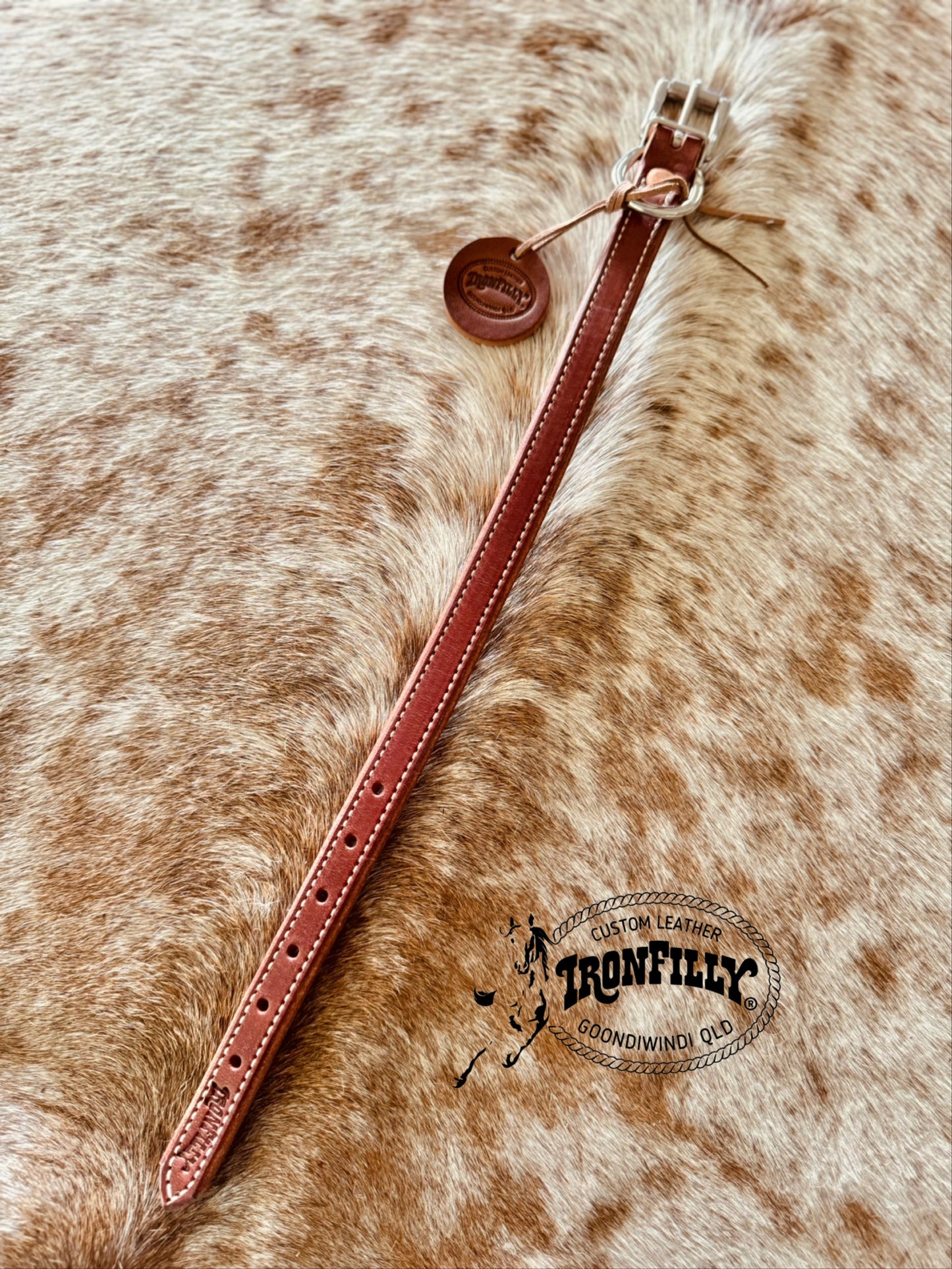 Small dog collar