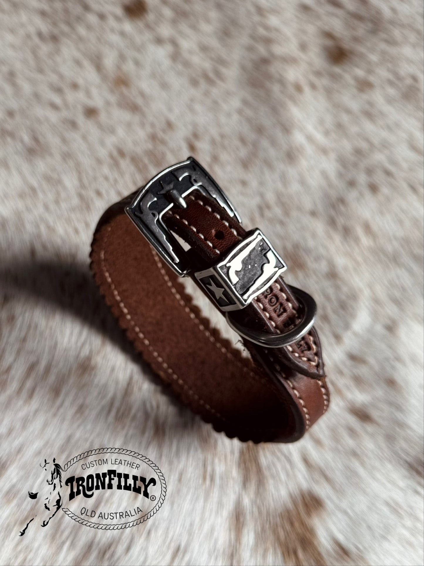 Dachshund Collar (Pistol buckle)